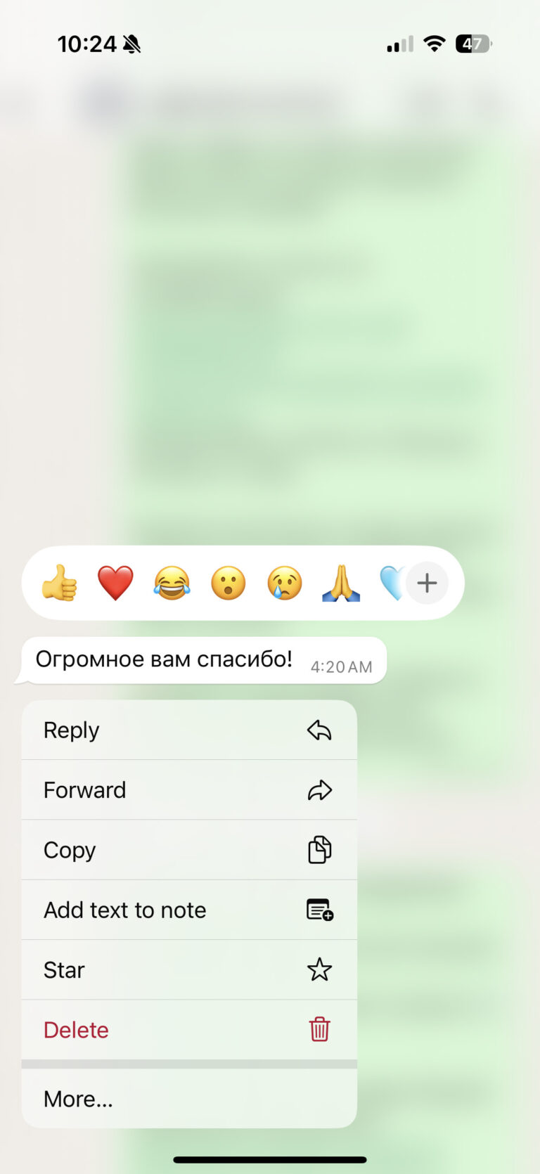 Отзыв о LIVAMI marriage service