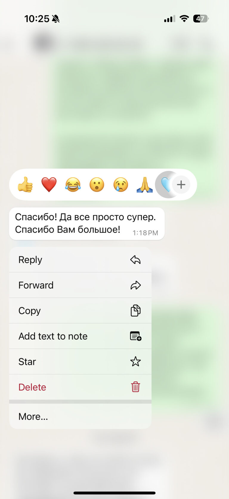Отзыв о LIVAMI marriage service