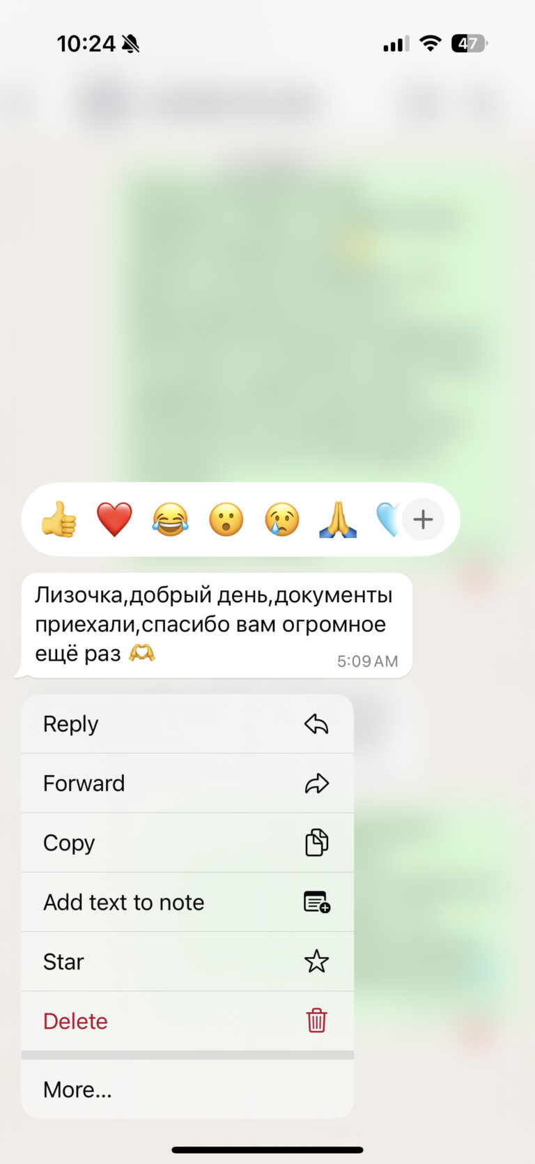 Отзыв о LIVAMI marriage service