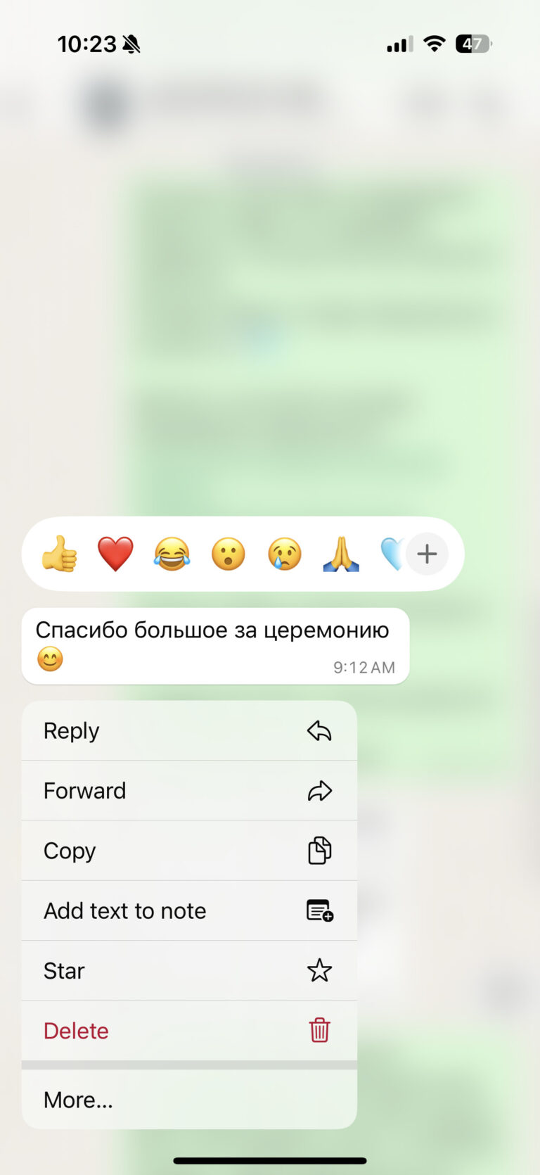 Отзыв о LIVAMI marriage service