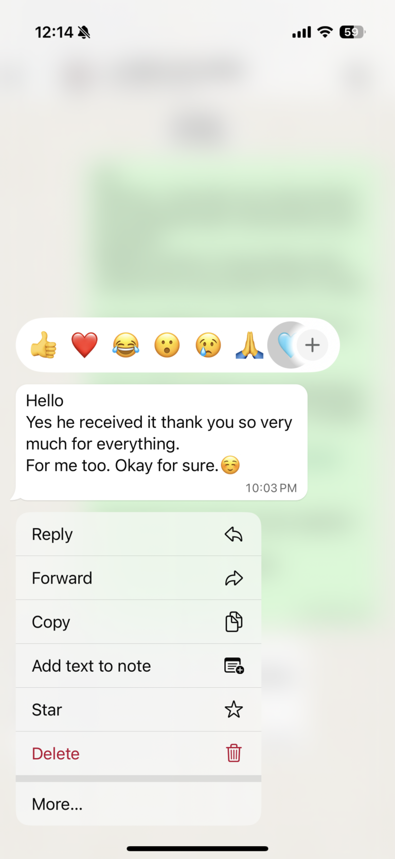 Отзыв о LIVAMI marriage service