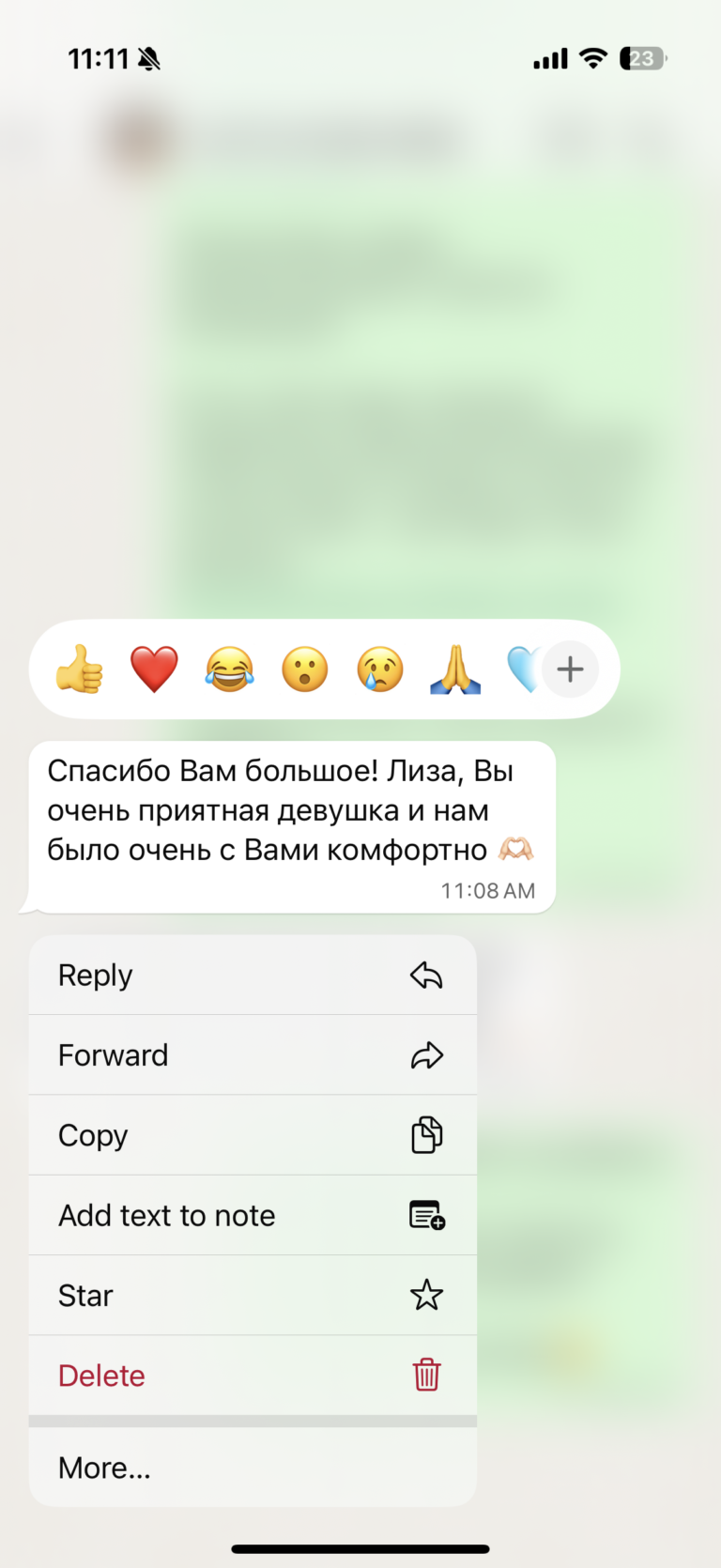 Отзыв о LIVAMI marriage service