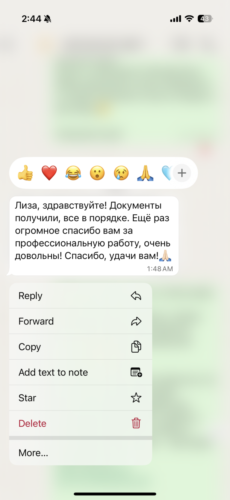 Отзыв о LIVAMI marriage service