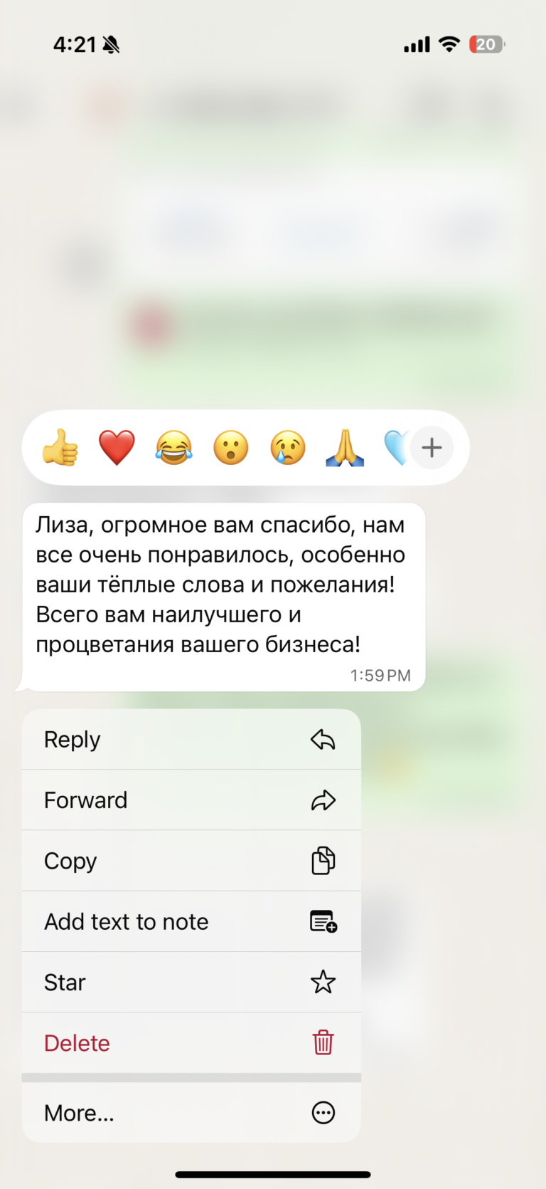 Отзыв о LIVAMI marriage service