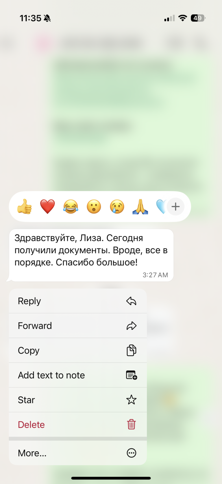 Отзыв о LIVAMI marriage service