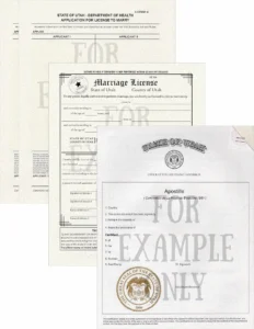 Полный комплект документов от LIVAMI marriage service